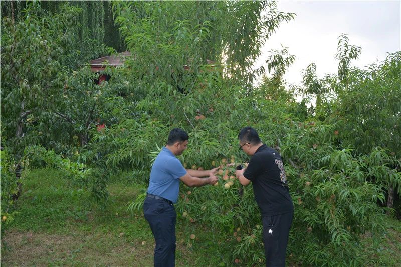 一路一帶丨印度客商到躍迪集團(tuán)參觀洽談合作